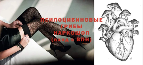прущие крисы Беломорск