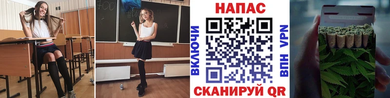 Канабис VHQ ссылка на мегу рабочий сайт Светогорск